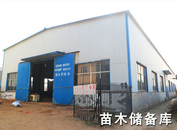 苗木儲(chǔ)備庫